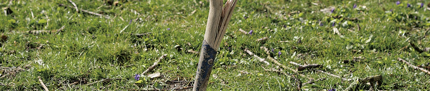 Skaft til spade Skaft til spade